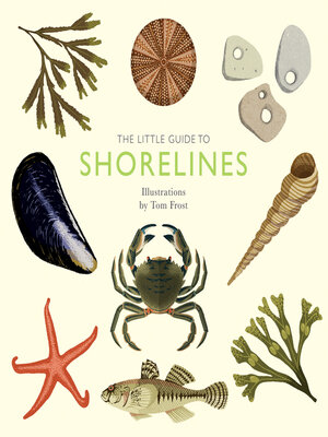 cover image of The Little Guide to Shorelines